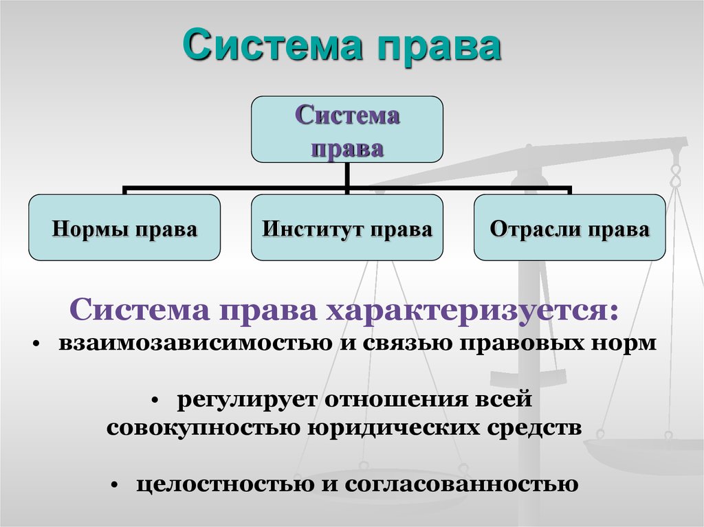 Презентация система права основные институты отрасли права