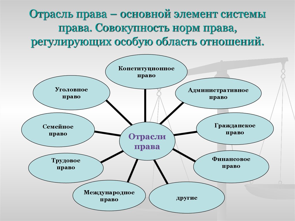 Главный элемент. Нормы отрасли права. Понятие отрасли права. Нормы различных отраслей права. Отрасли права схема.