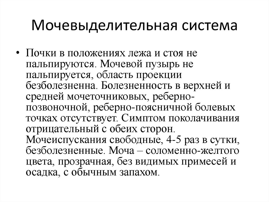 Мочевыделительная система