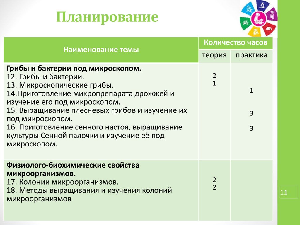 Программа по кружку внеурочной деятельности