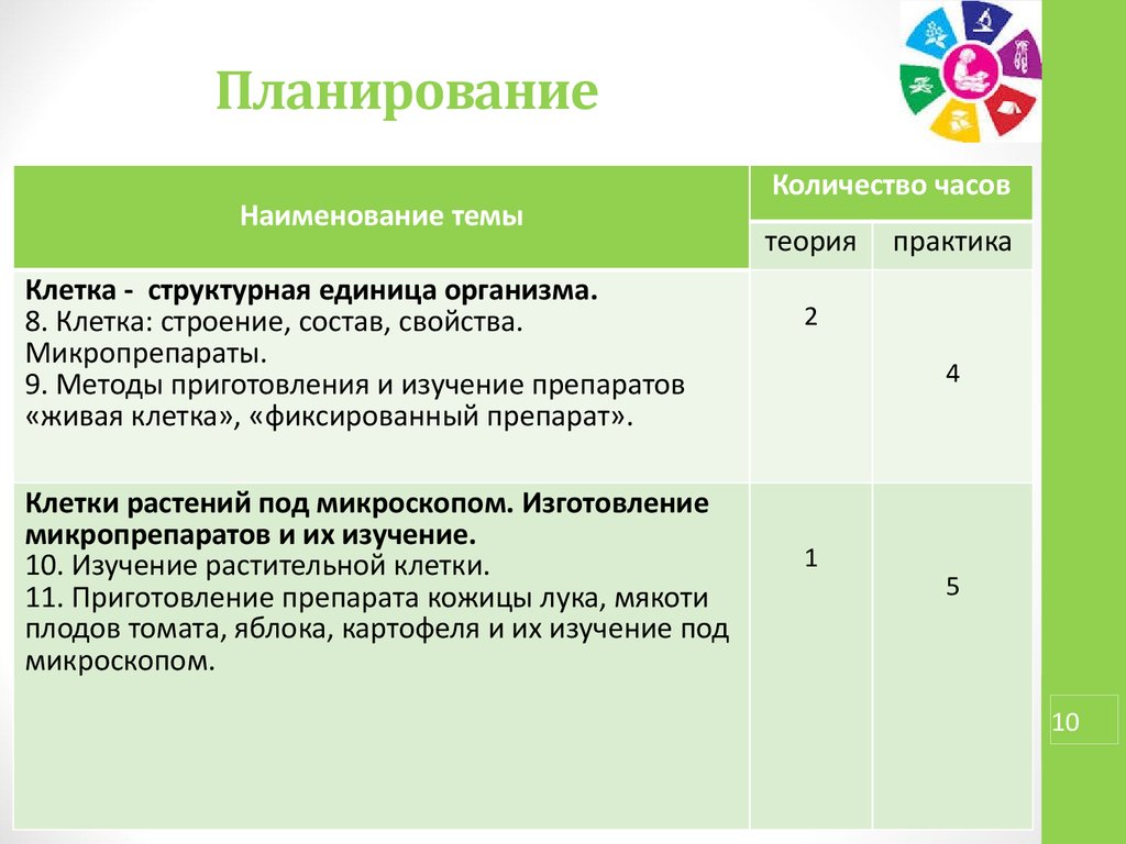 Внеурочная деятельность 6 класс рабочие программы