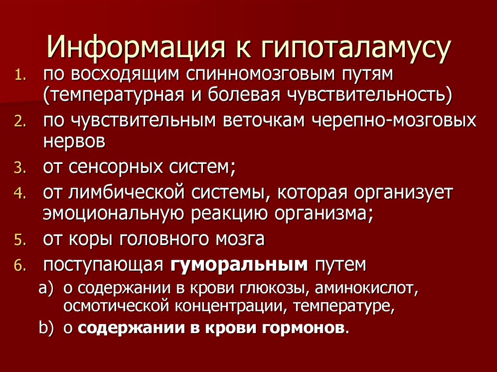 Информация к гипоталамусу