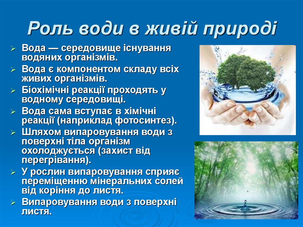 Проект вода. Роль водных ресурсов в природе. Наиболее чистой является в природе вода. Вода в природі і житті людини. Розчини у природі.