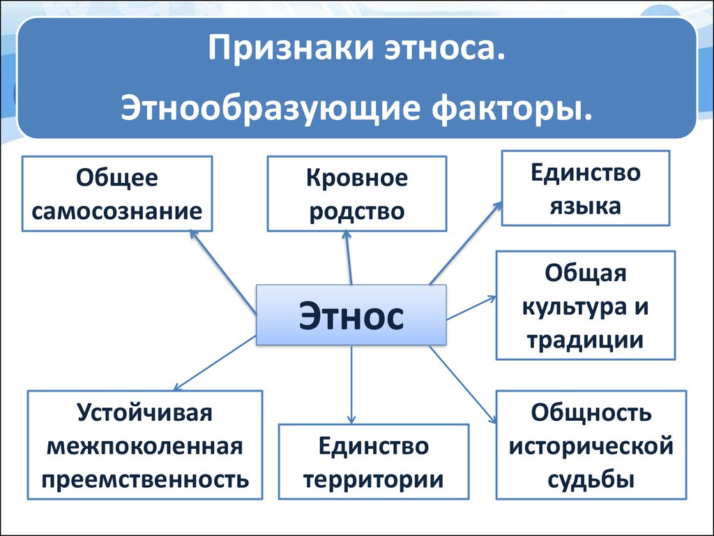 Чаще всего этнос обладает едиными ценностями нормами и образцами социального поведения