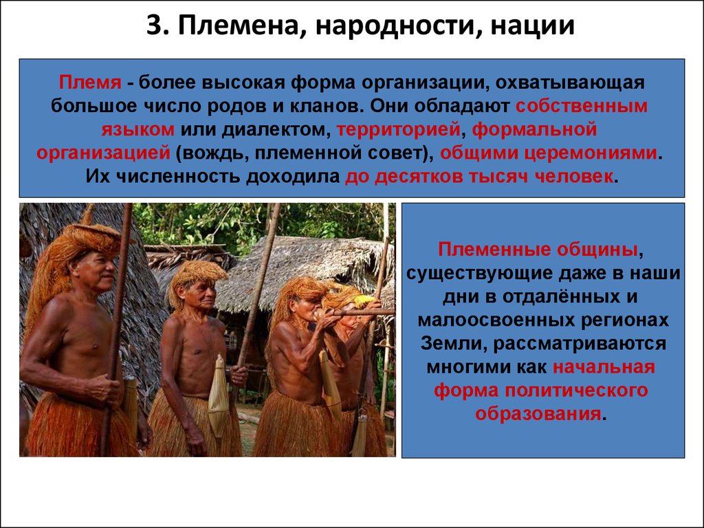 Племена народности нации это. Племя народность нация. Племена и народности это. Родовая община племя народность нация. Этнос племя нация.