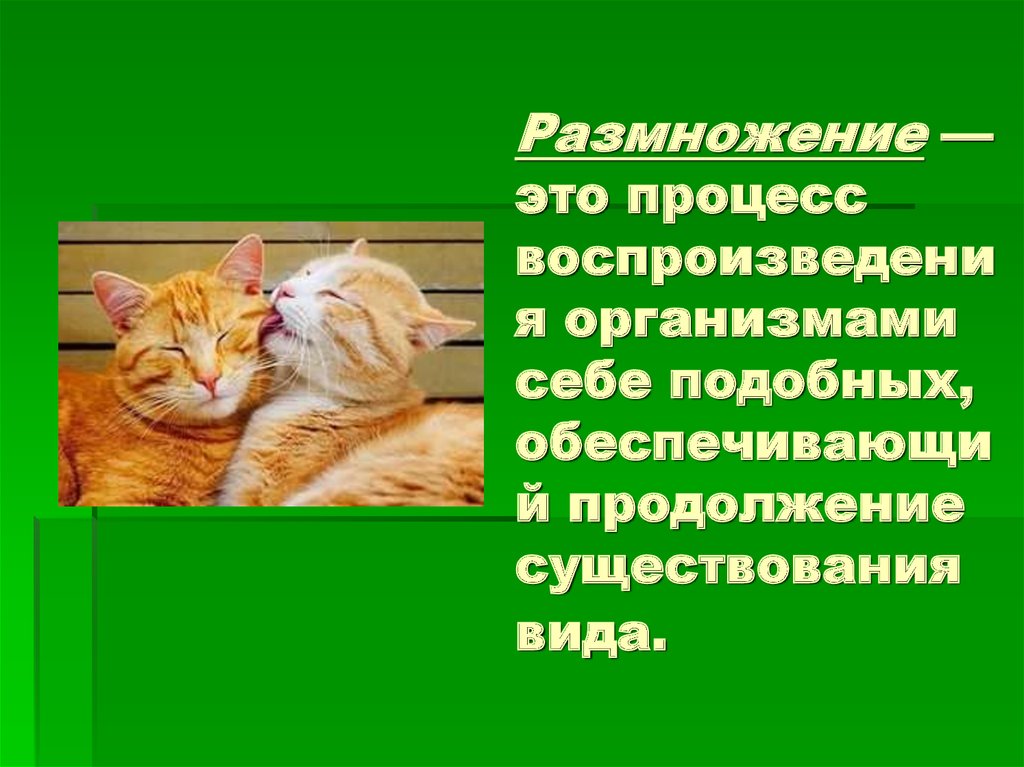 Воспроизводство организмами себе подобных