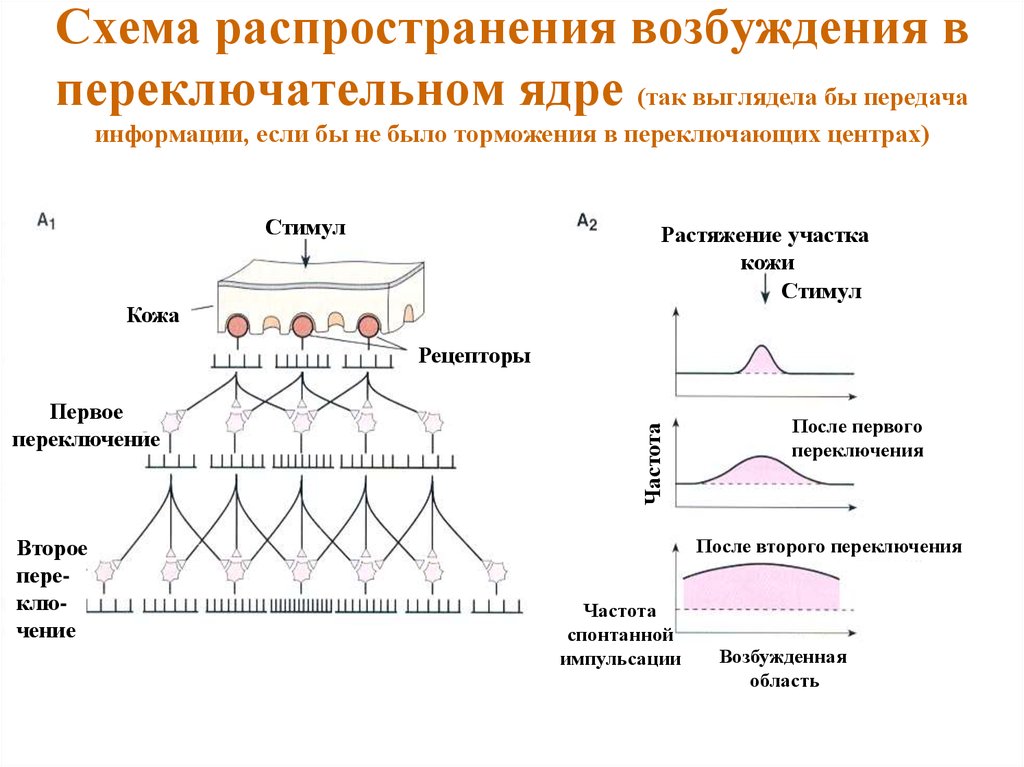 Схема распределения