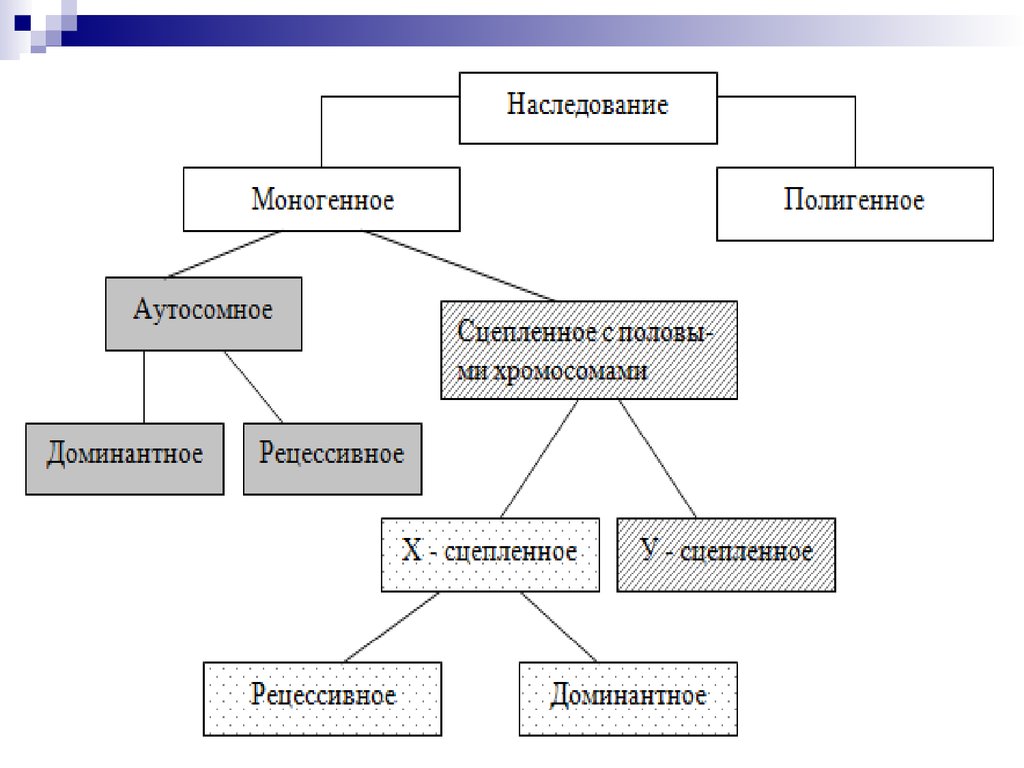 Типы наследования презентация