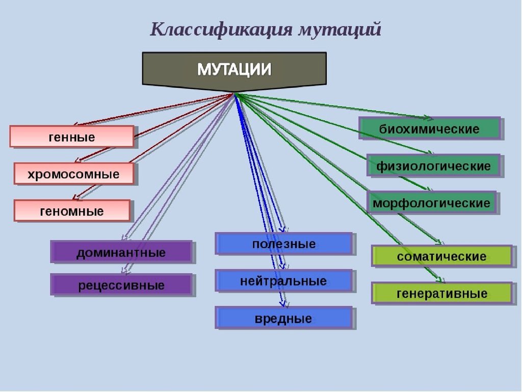 Геномные мутации проект