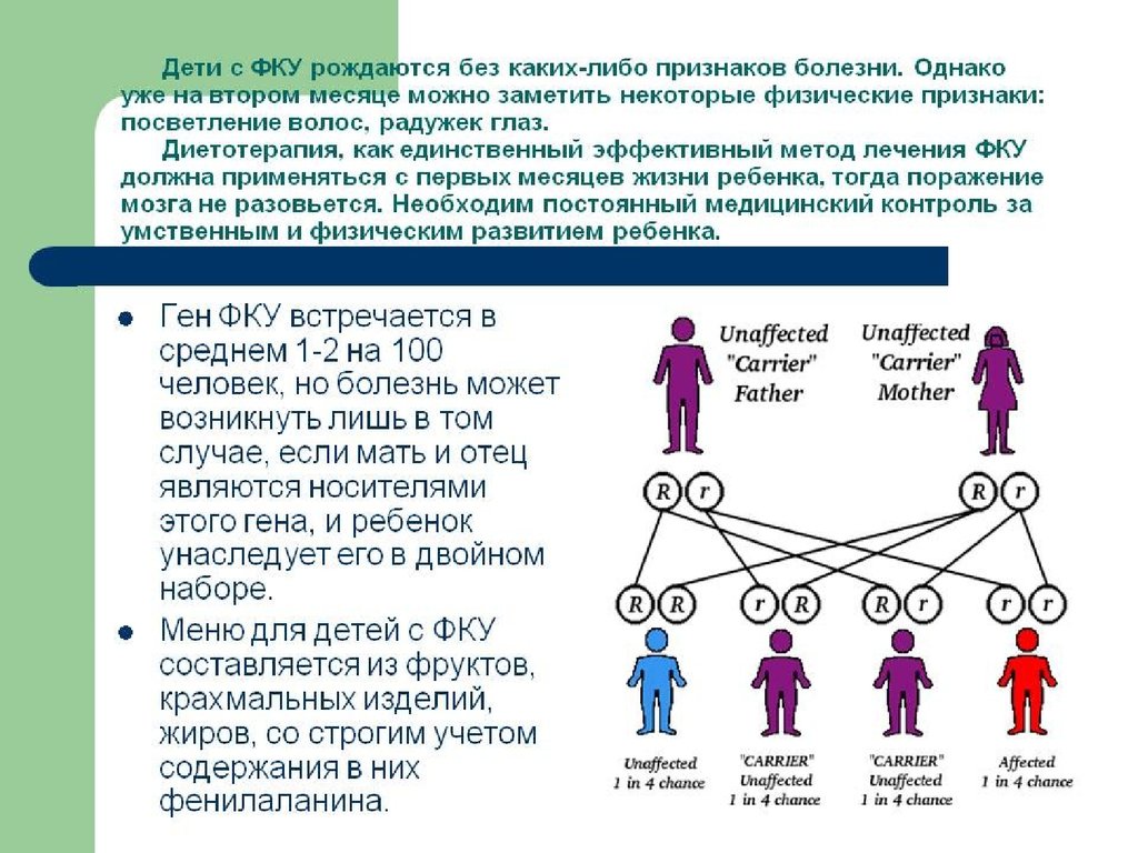 Обоих родителей. Ген ФКУ. Гены ребенка от матери и отца. Генотип носительницы фенилкетонурии.