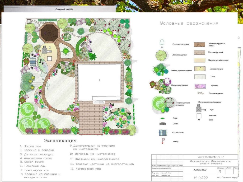 Чертеж ландшафтного дизайна участка - 83 фото