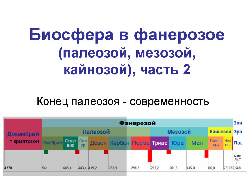 Фанерозой это. Эры палеозой мезозой Кайнозой. Фанерозой мезозой Кайнозой. Эволюция биосферы в палеозое. Важнейшие глобальные изменения в фанерозое.