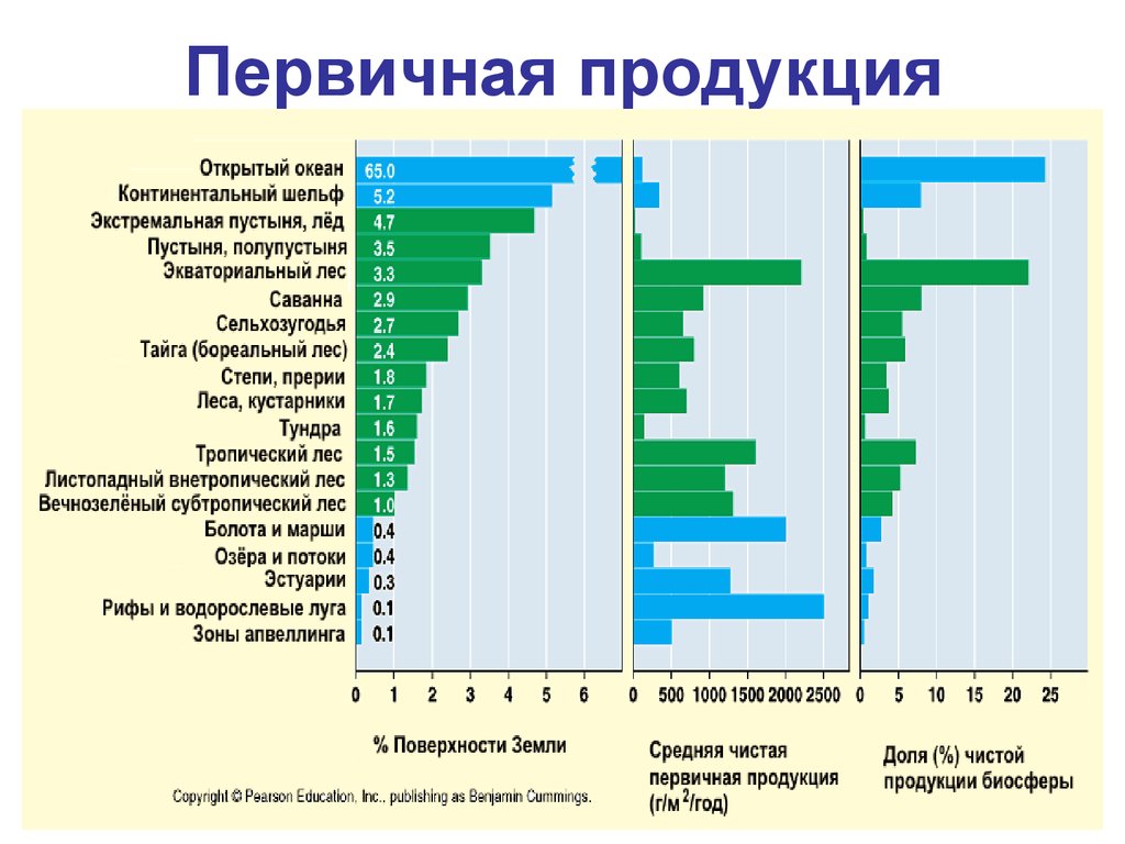 Вторичная продукция. Чистая первичная продукция. Первичная и вторичная продукция. Первичная продукция это в биологии. Валовая первичная продукция.