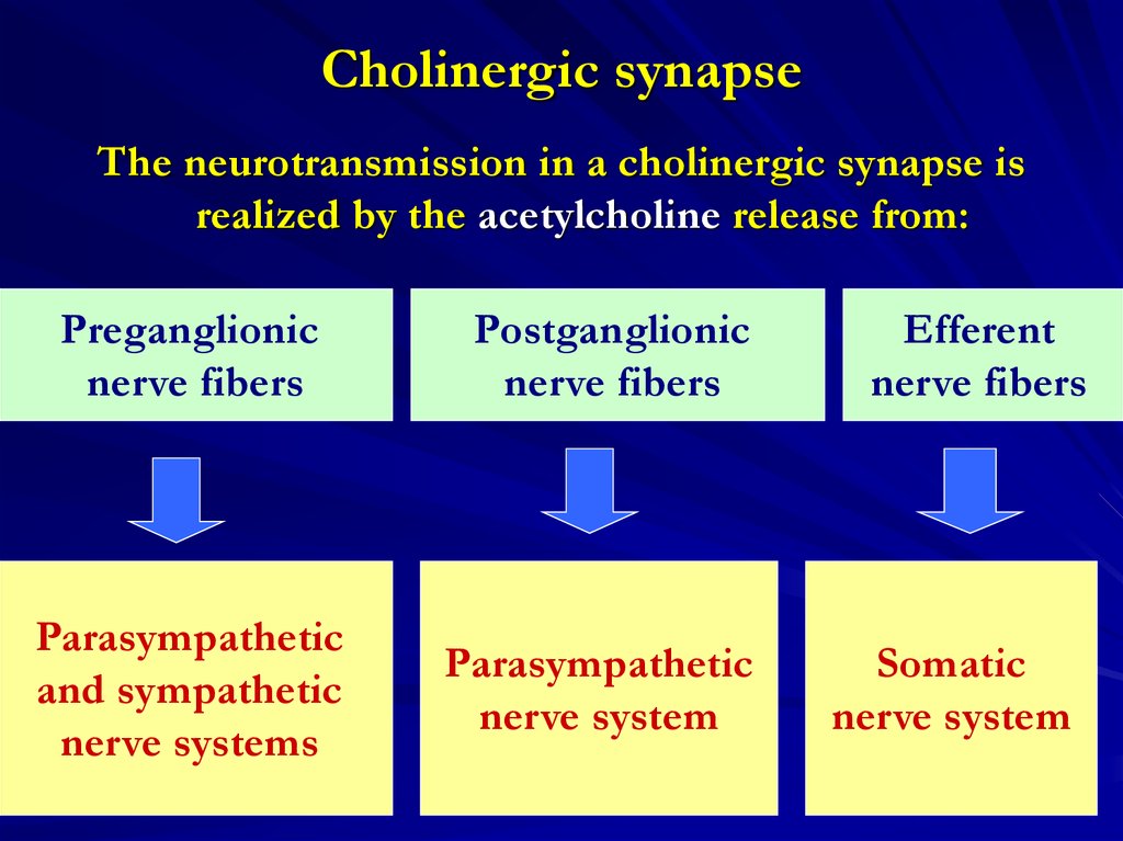 Cholinomimetic and anticholinesterase drugs - online presentation