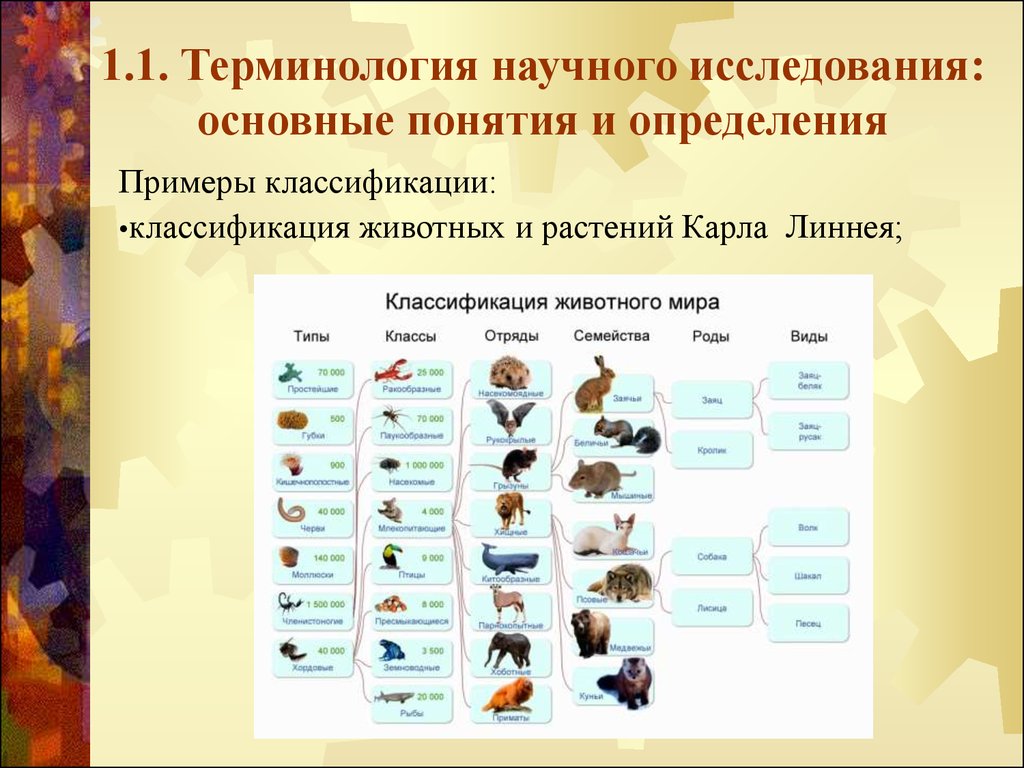 Классы животных классификация. Биологическая классификация животных. Биология классификация животного мира. Классификация животных 5 класс биология. Царство животных классификация 3 класс.