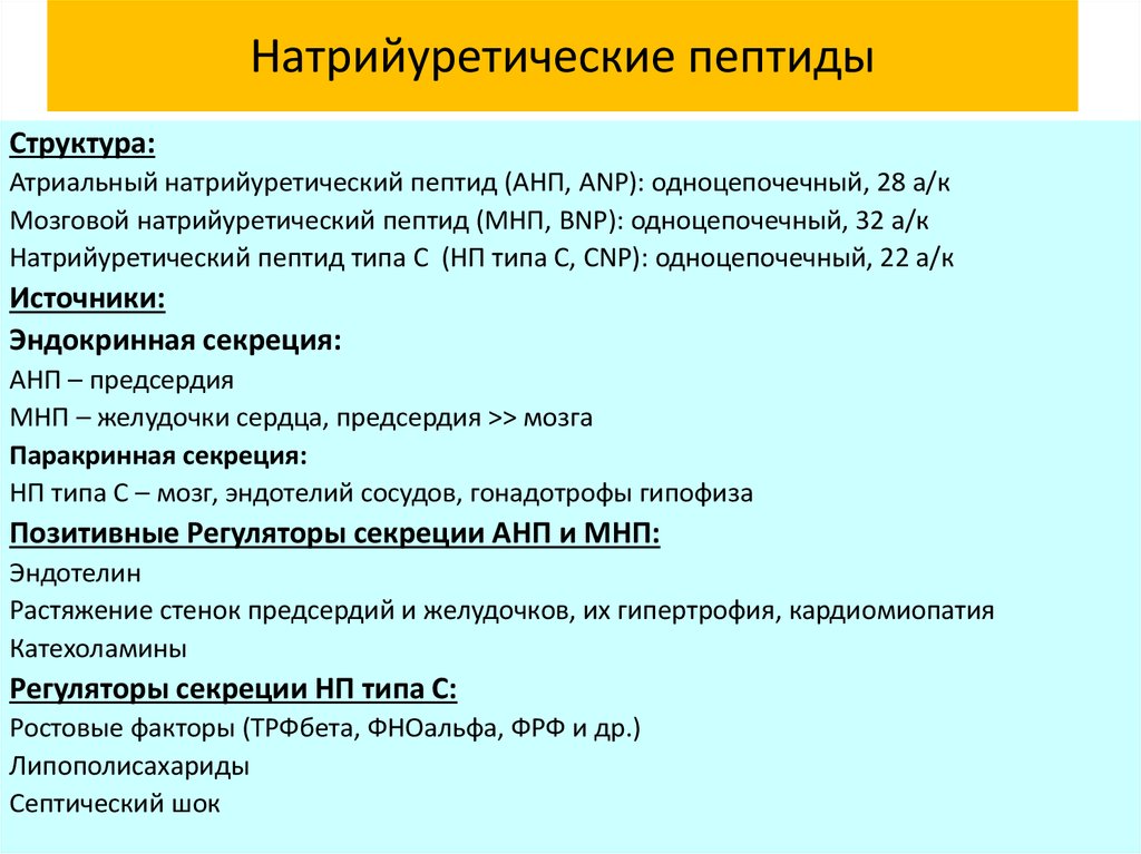 Определение пептида 32 мозга что это