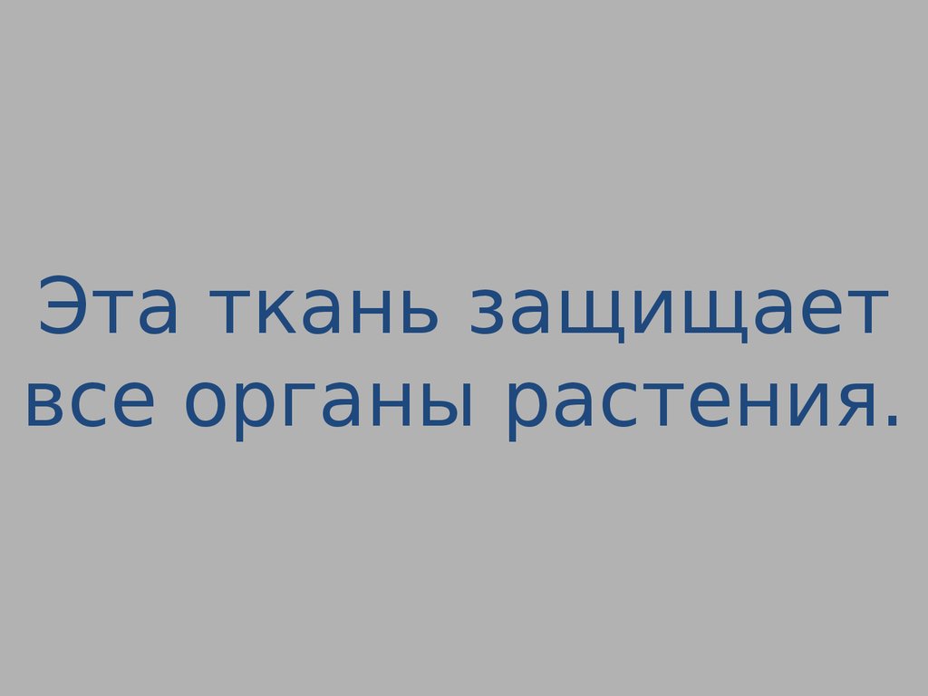 Своя игра по биологии 6 класс презентация