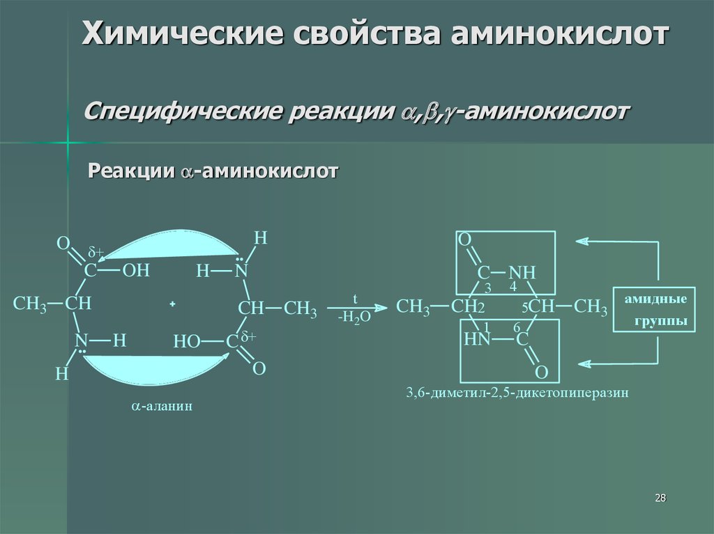 Физические свойства аминокислот презентация