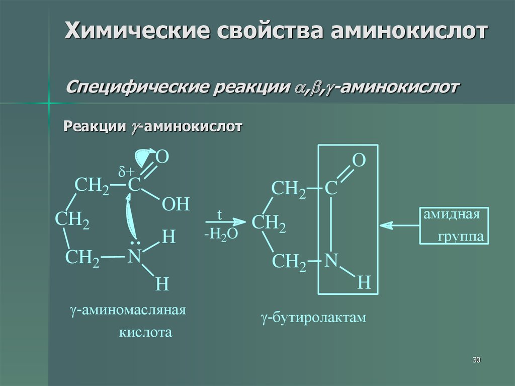 Химические свойства аминокислот. Внутримолекулярная реакция аминокислот. Реакции бета аминокислот. Специфические реакции аминокислот.