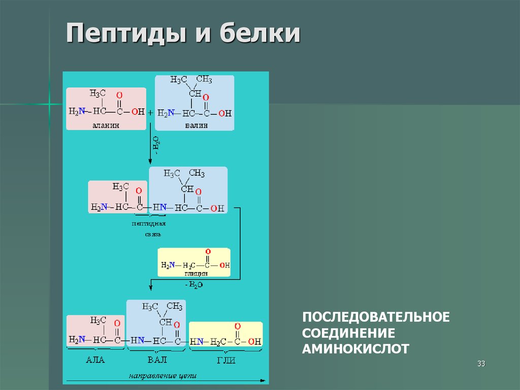 Презентация белки и пептиды