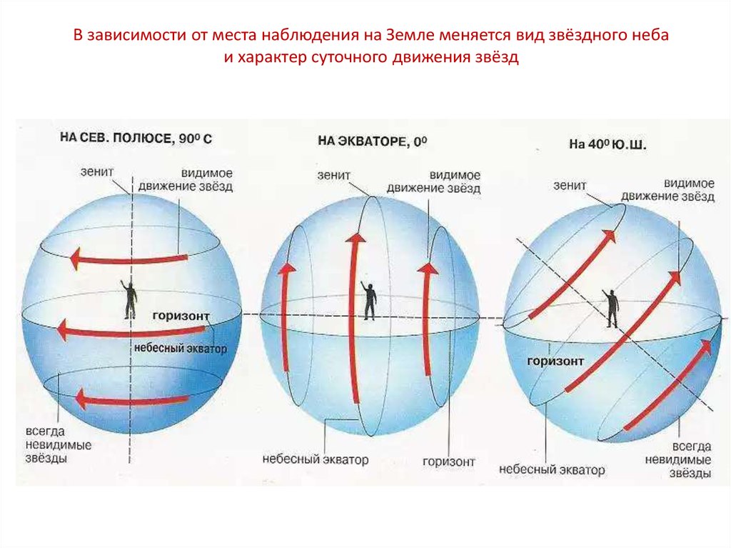 Звездное небо и небесные координаты презентация