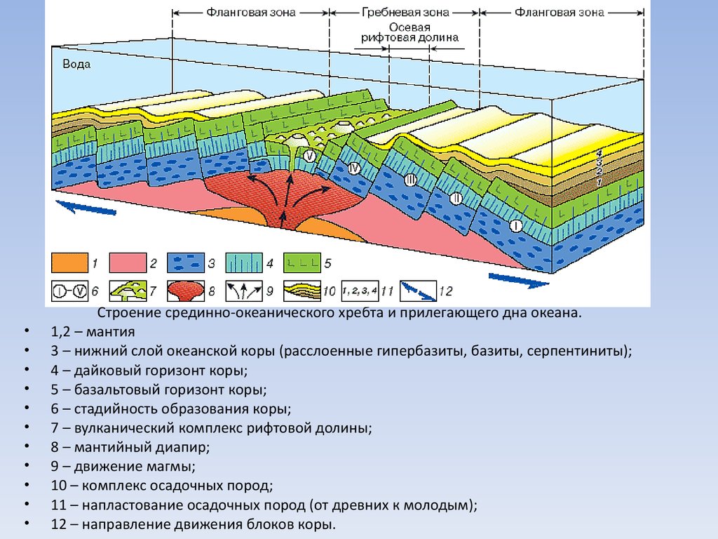 Строение дне. Строение срединно-океанических хребтов. Образование срединно океанического хребта. Элементы строения срединно-океанических хребтов. Геодинамические обстановки.