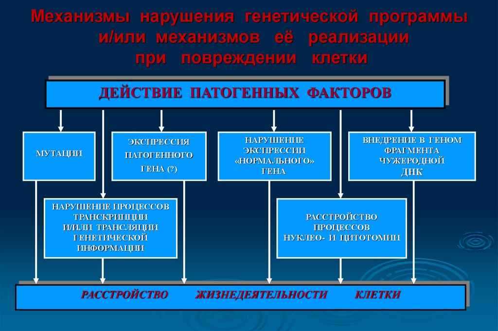 Факторы мутации. Механизмы нарушения генетической программы клетки. Нарушение генетической программы клетки и механизмов ее реализации. Механизмы нарушений клеточной программы (мутации). Нарушение генетической программы клетки патогенез.