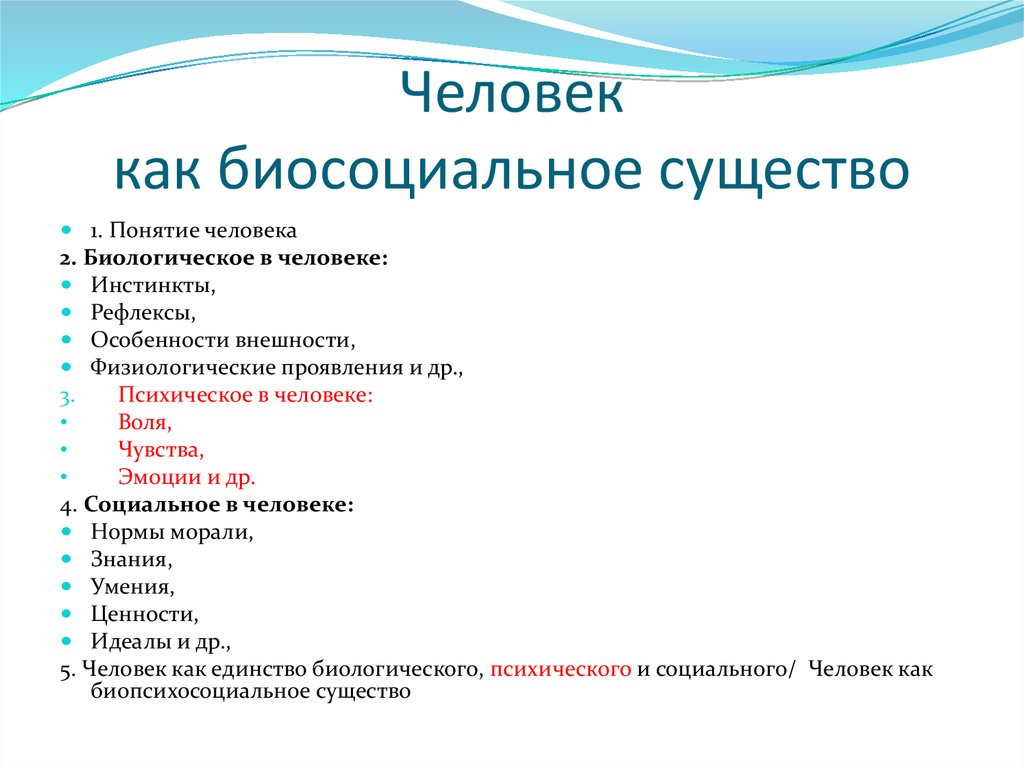 Сложный план позволяющий раскрыть по существу тему биосоциальная сущность человека