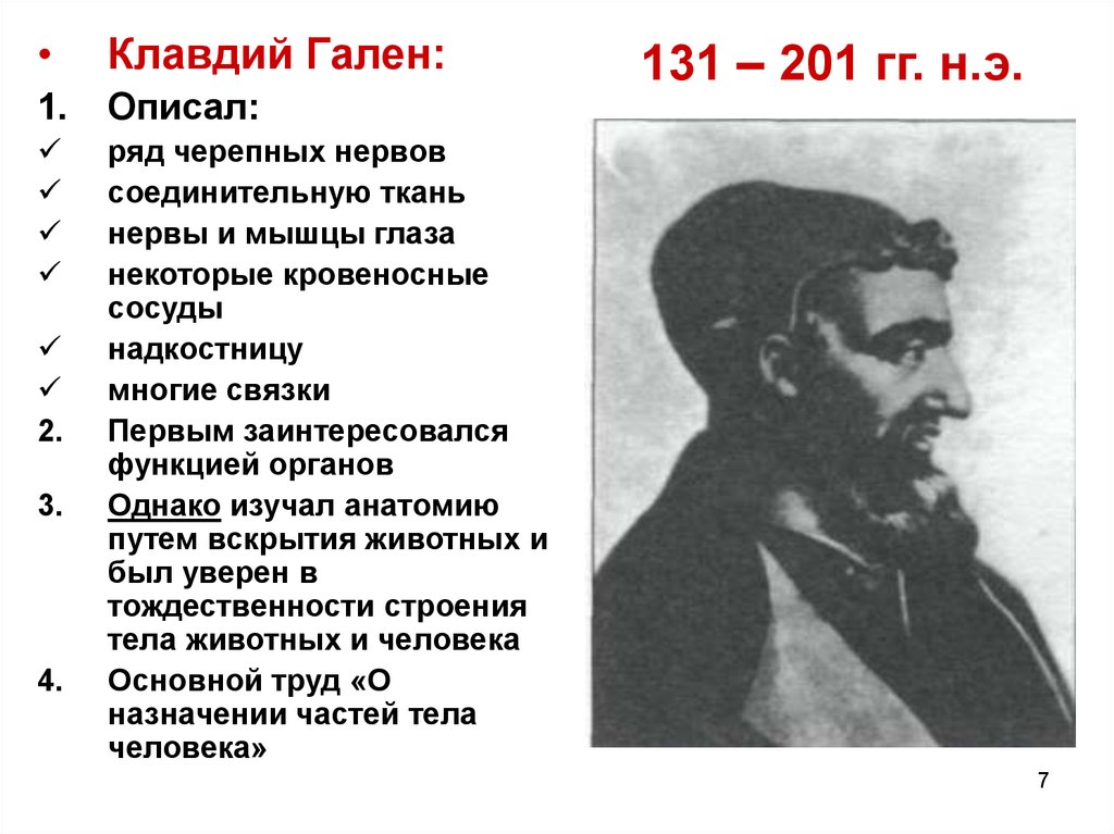 Гален годы. Гален ученый вклад в анатомию.