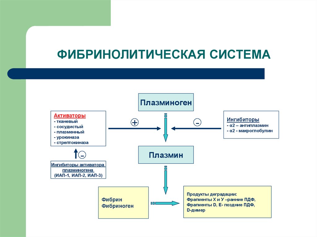 Схема фибринолиза физиология