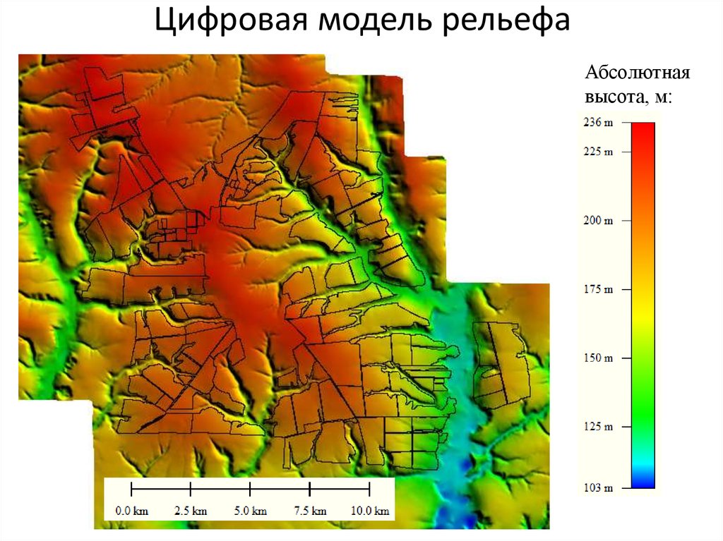 Цифровая модель рельефа презентация