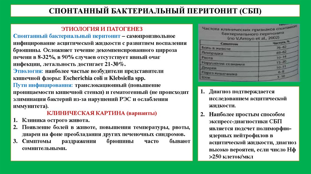 Асцитическая жидкость это. Спонтанный бактериальный перитонит. Этиология и патогенез перитонита. Спонтанный бактериальный перитонит при циррозе. Спонтанный бактериальный перитонит патогенез.