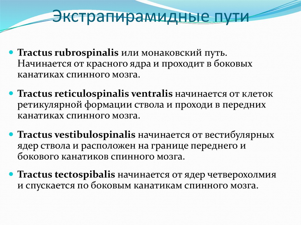 Система путь. Экстрапирамидные пути. Экстрапирамидные проводящие пути. Экстрапирамидная система п. Проводящие пути экстрапирамидной системы.