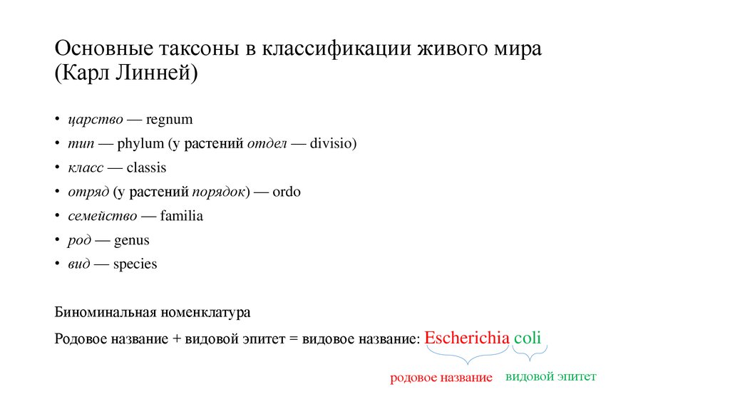 Выберите из предложенного списка таксоны