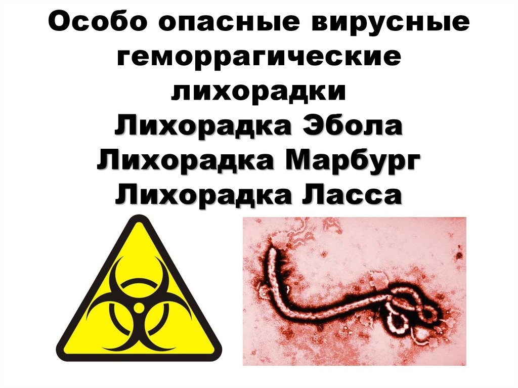 Особо опасные вирусные геморрагические лихорадки Лихорадка Эбола Лихорадка Марбург Лихорадка Ласса