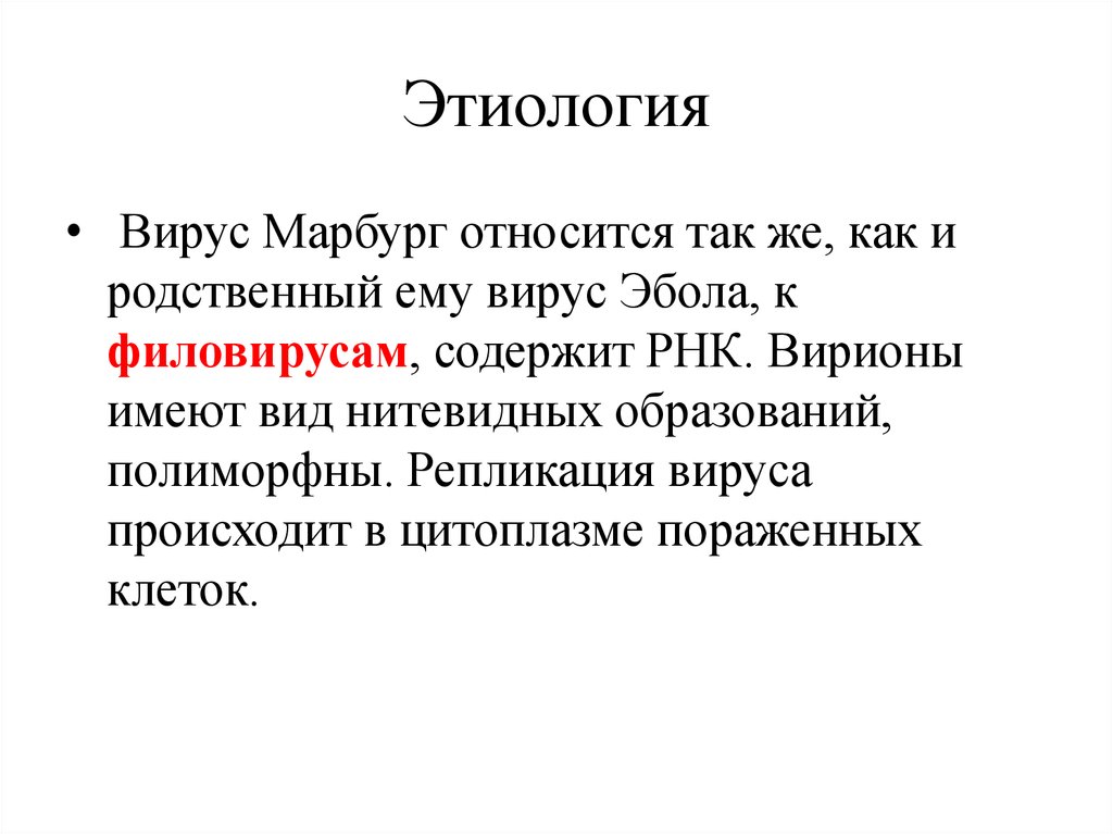 Лихорадка марбург презентация