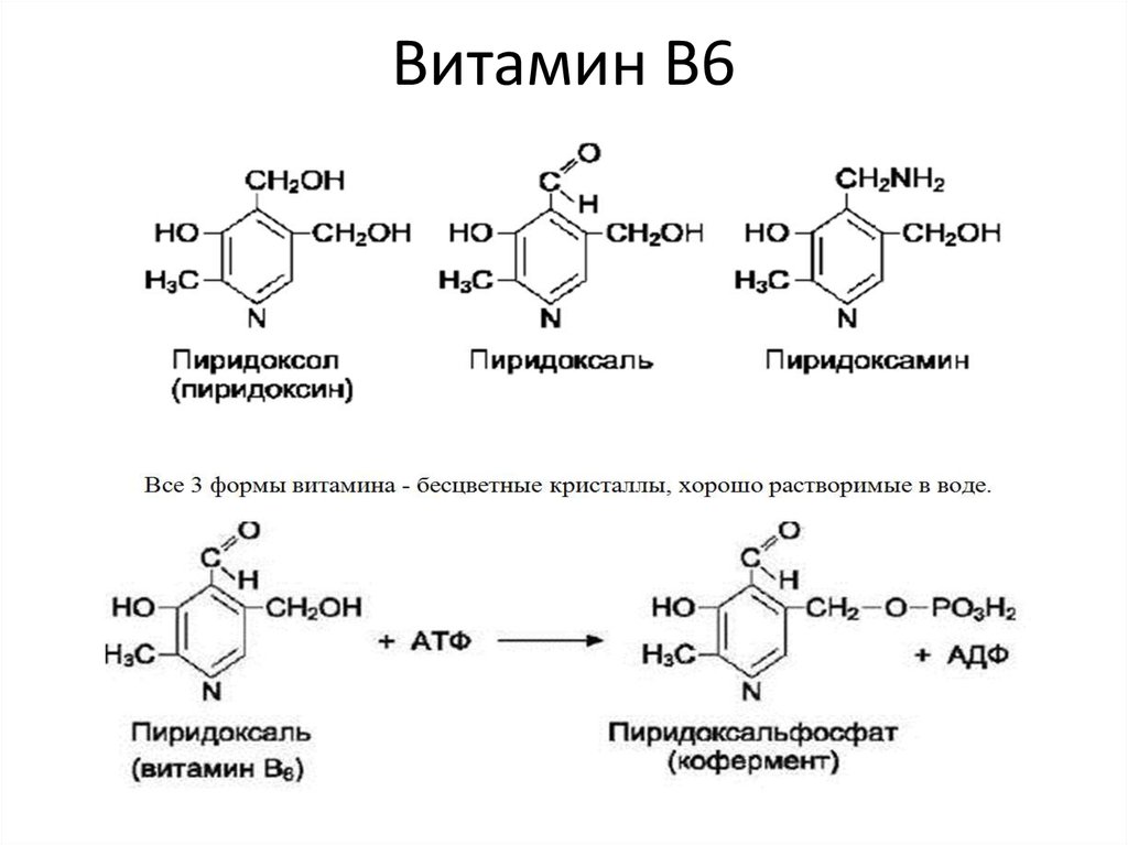 Химия б 6. Витамин в6 формула биохимия. Структура витамина b6. Витамин b6 строение. Витамин б6 структурная формула.