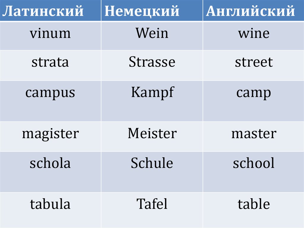 5 латинских слов. Латынь и немецкий. Немецкий на латинские. Magister латынь склонение. Языки Латинской группы.