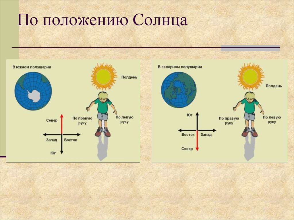 В полдень солнце на юге. Ориентирование по положению солнца. Схема положения солнца. Стороны света по солнцу. Ориентироваться по солнцу.