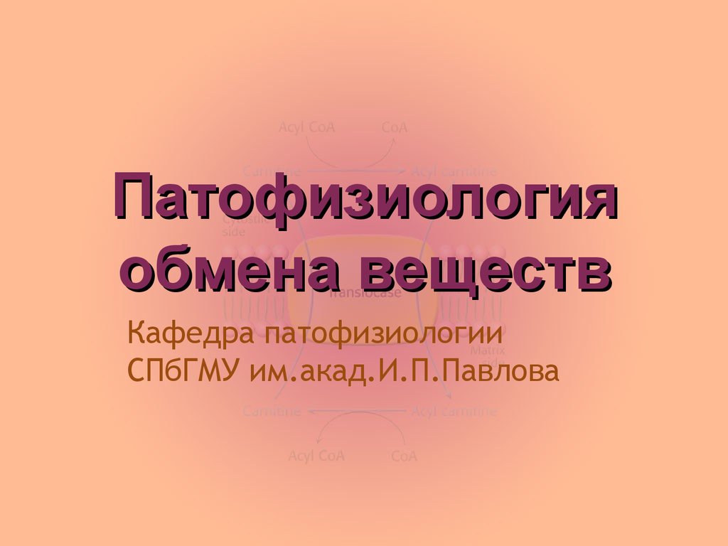 оппортунизм в