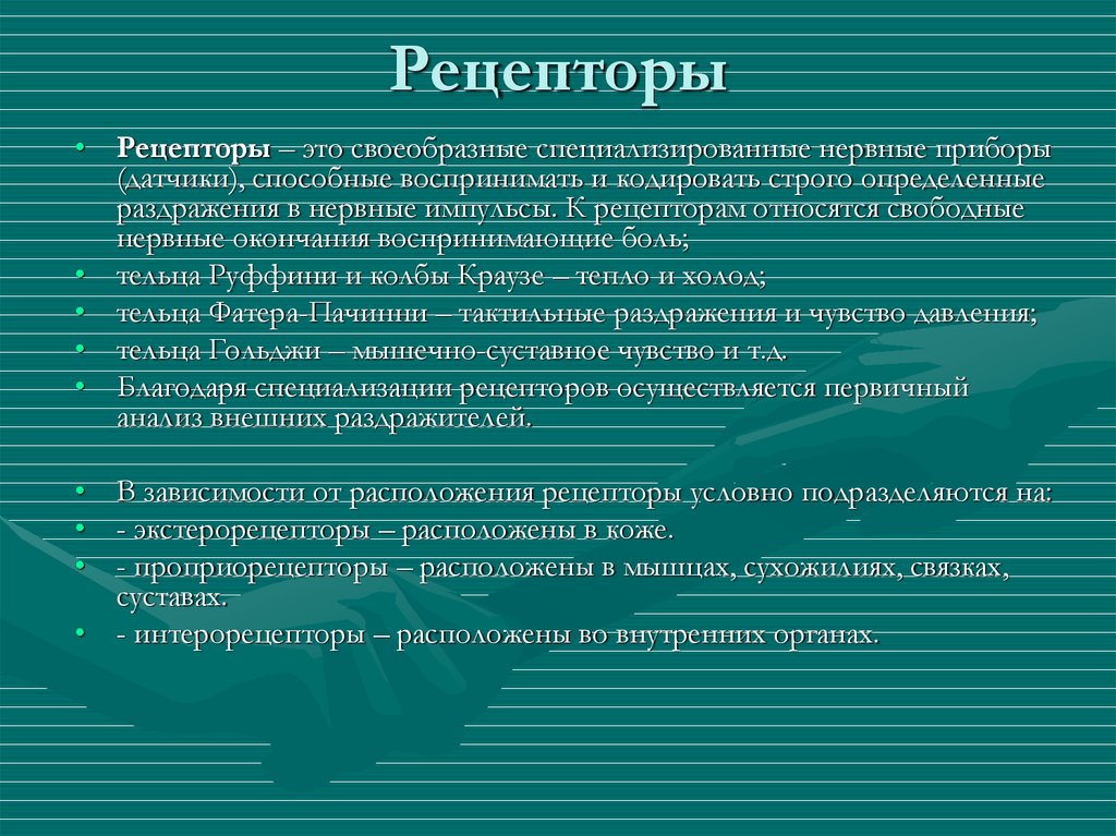 Ат рецепторы это