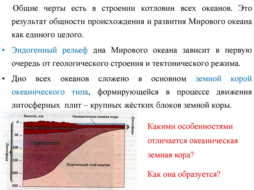 Презентация рельеф дна океанов география 5 класс