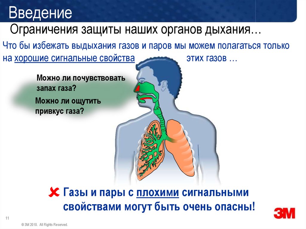 Защищает органы дыхания. Защита дыхательной системы. Как защитить дыхательную систему. Пары и ГАЗЫ. Респираторные ГАЗЫ это.