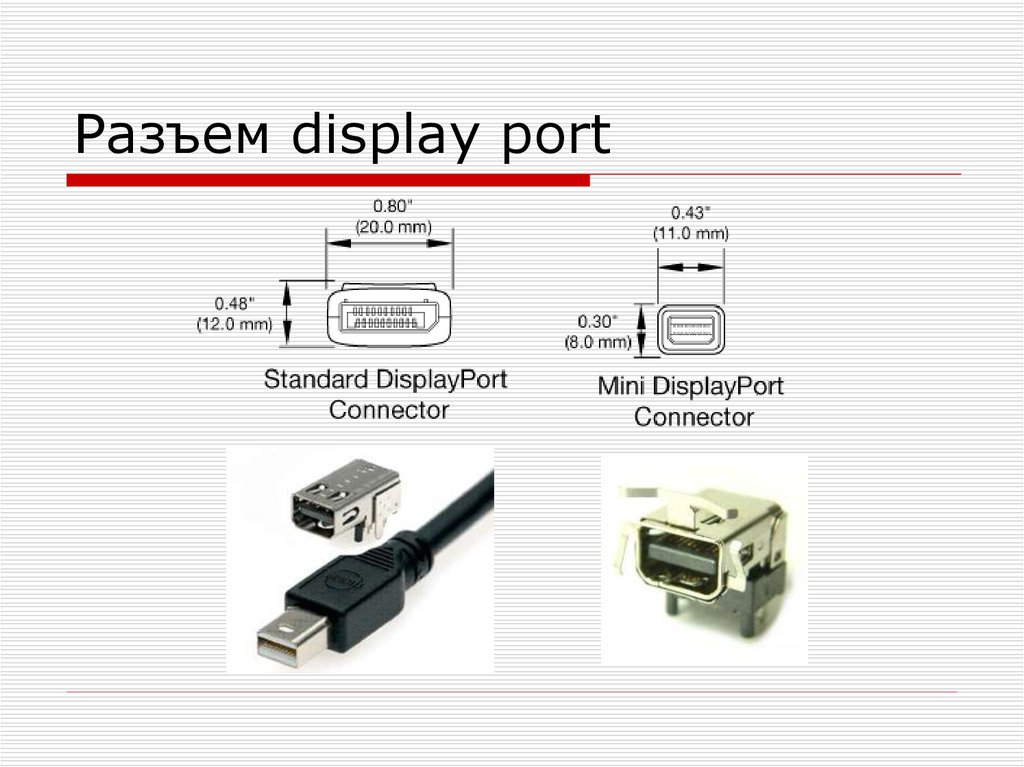 Что делает display. Разъем дисплей порт - dc14v. Разъем Mini DISPLAYPORT 14 Pin. Mini DISPLAYPORT to DISPLAYPORT распиновка. DISPLAYPORT Размеры разъема.