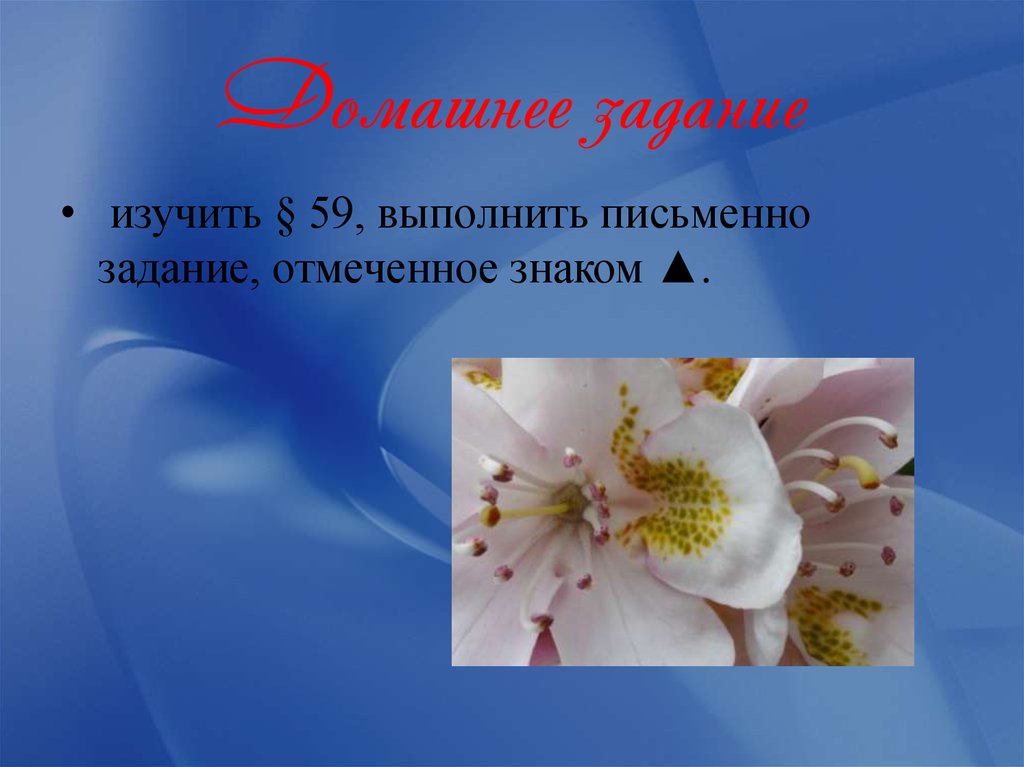 Домашнее задание