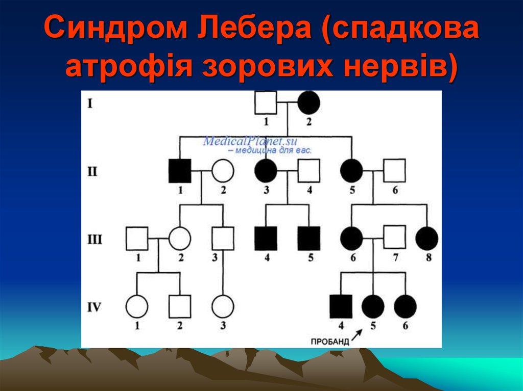 Синдром лебера тип наследования. Оптическая нейропатия Лебера. Пробанд. Пробанд генетика. Пробанд и СИБСЫ.