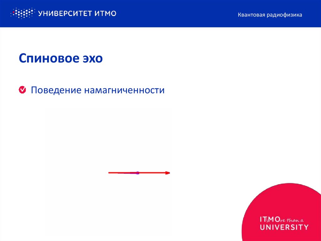 Спиновое эхо