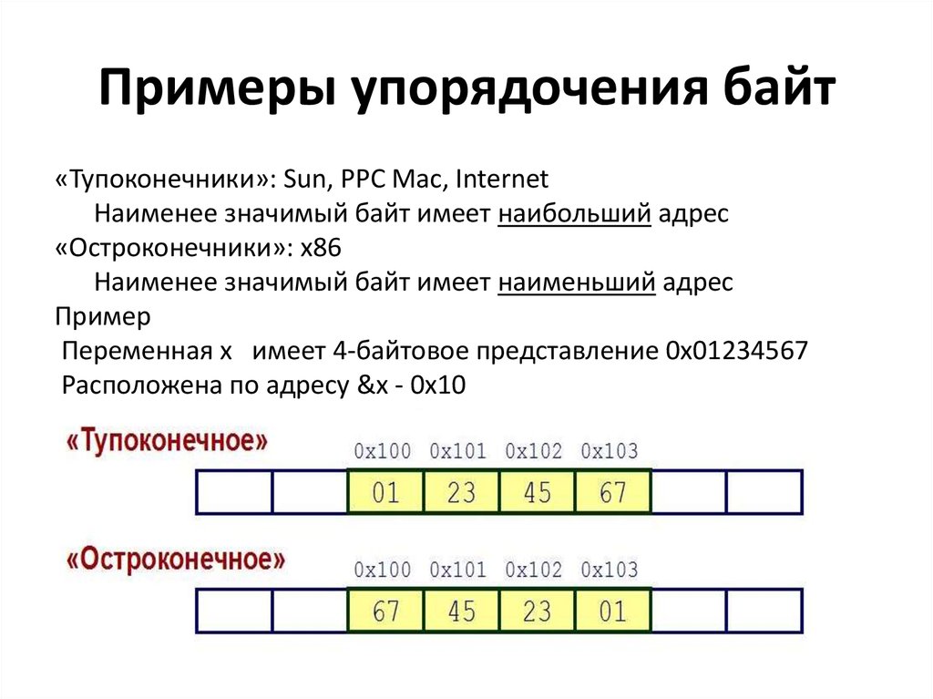 Порядок байтов. Байт пример. Структура байта. Пример упорядочения. Байты в программировании.