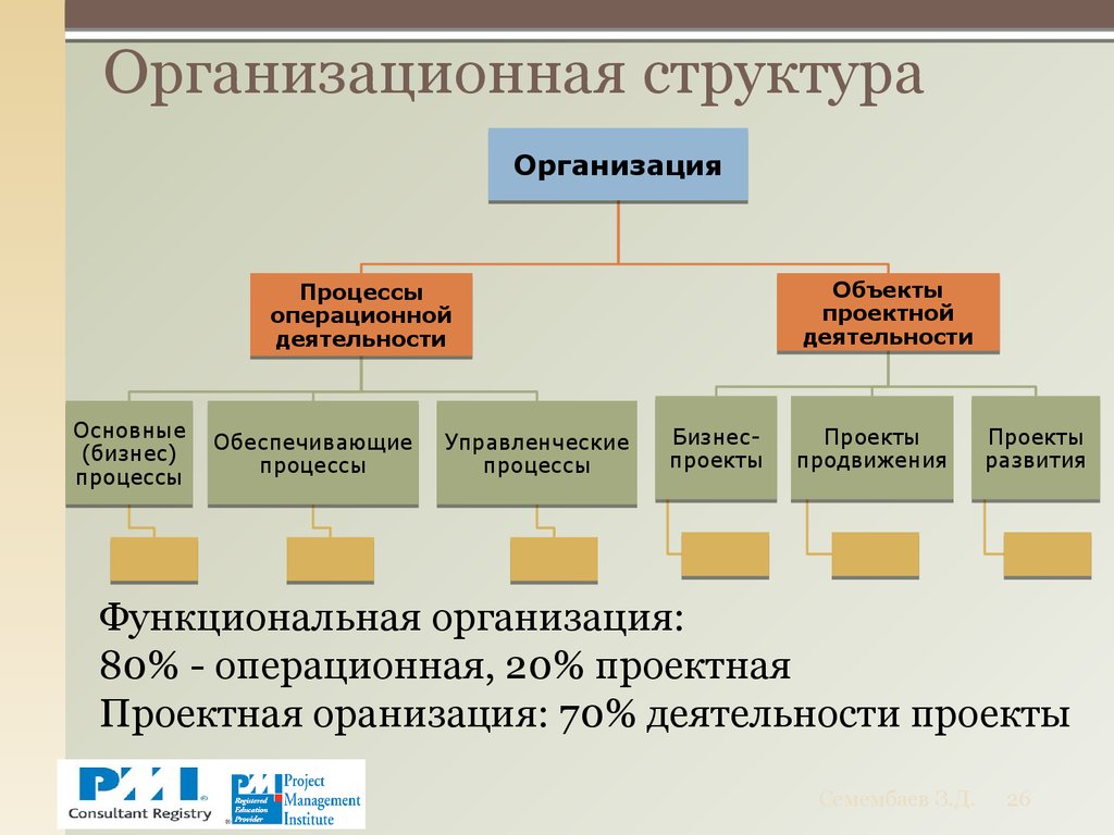 Функциональная организационная структура проекта