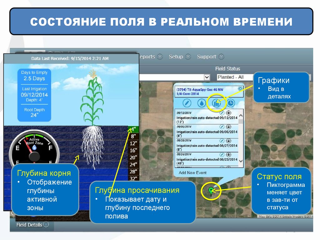 Статус поле. Статус про поле.